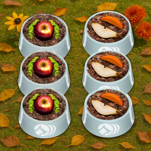 Saison-Menü-Bundle