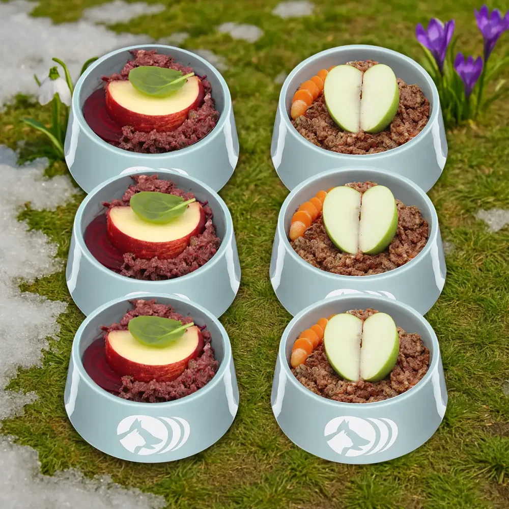 Saison-Menü-Bundle