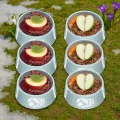 Pack Menu de Saison