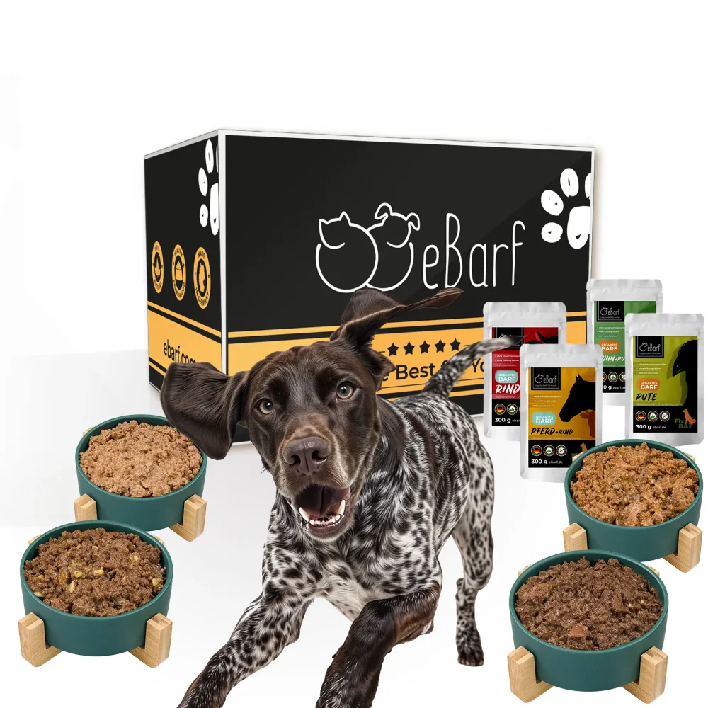 Pack Découverte de Nourriture Humide pour Chiens