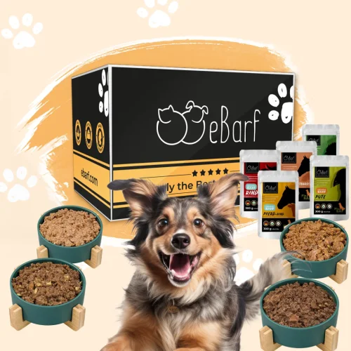 Webinar-pakke til hunde (tilberedt)