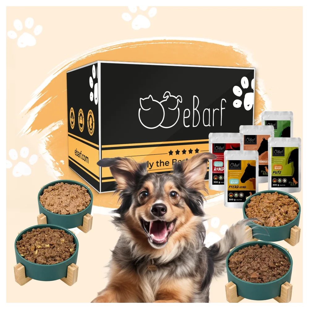Forfait webinaire pour chiens (cuit)