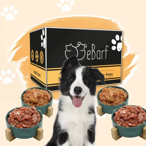 Pacchetto webinar per cani (crudo)