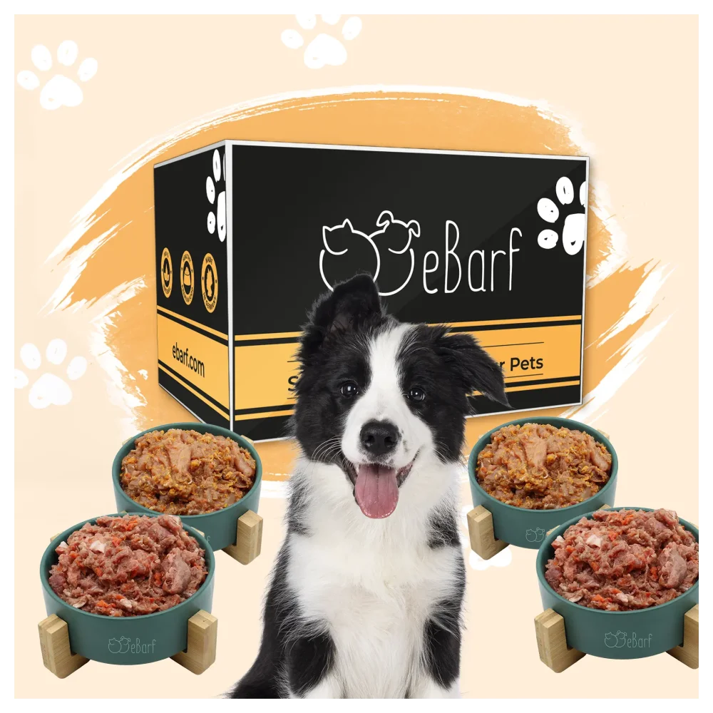 Webinar-pakket voor honden (raw)