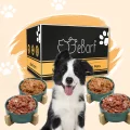 Forfait webinaire pour chiens (cru) – Image 1 / 1