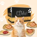 Webinar Package for Cats (raw) – Image 1 / 1