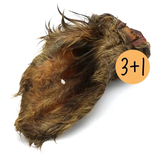 Prenda 4, paghi 3: Orecchio di manzo con pelo (essiccato)